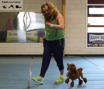 Dogdance zomer 2025 beginners 19.15 uur