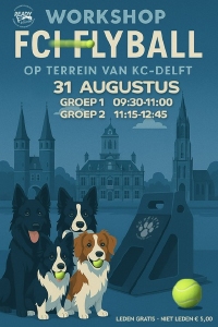 Workshop FCI FLYBALL              31 augustus  09.30 - 11.00 uur