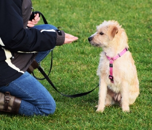 Basiscursus-0 - Zaterdag 11.15 uur - 10/01/2026 Yvette Winkelman