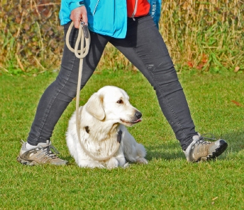 Basiscursus-2 - Donderdag 19.15 uur - 15/01/2026 Violetta Breve