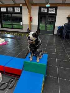 Fun in balance - Maandag 11.30 uur - Winter 2026 Cora