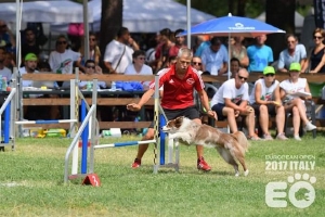 Workshop Agility door Andy de Groote - 30 mei 2026 Groep 3 - 13:45 tot 15:45 uur