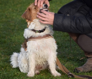 Basiscursus-1 - Woensdag 19.45 uur - 06/05/2026 Madelief Siebel